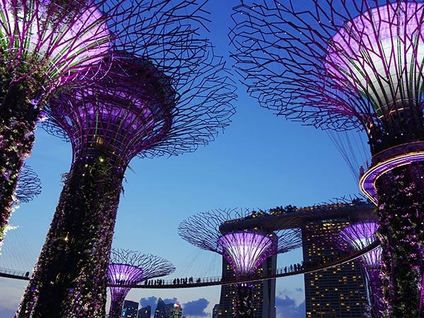 新加坡、馬來(lái)西亞雙飛六日游