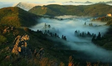 益陽安化?天下茶道、云臺(tái)山、茶香花海2日游