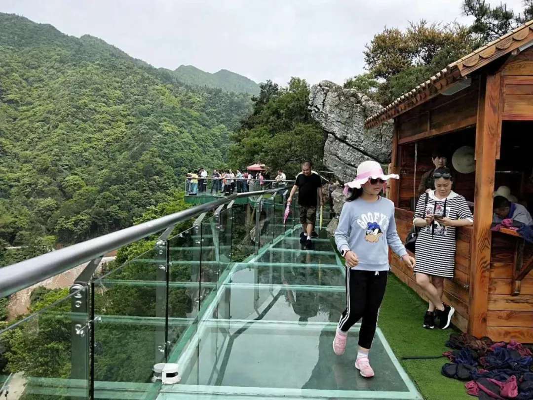 益陽安化?天下茶道、云臺(tái)山、茶香花海2日游