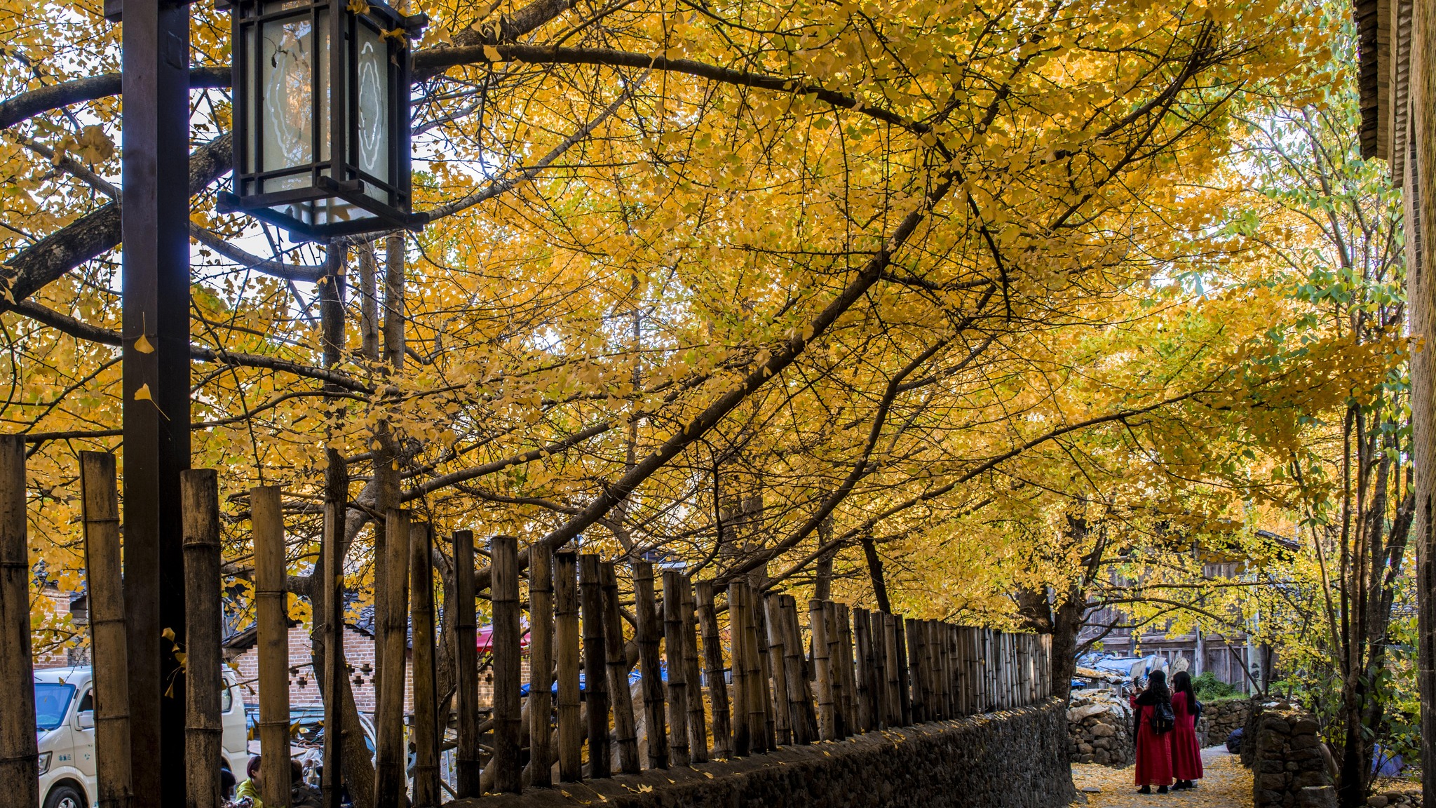 長(zhǎng)沙直飛騰沖、瑞麗、芒市雙飛六日游