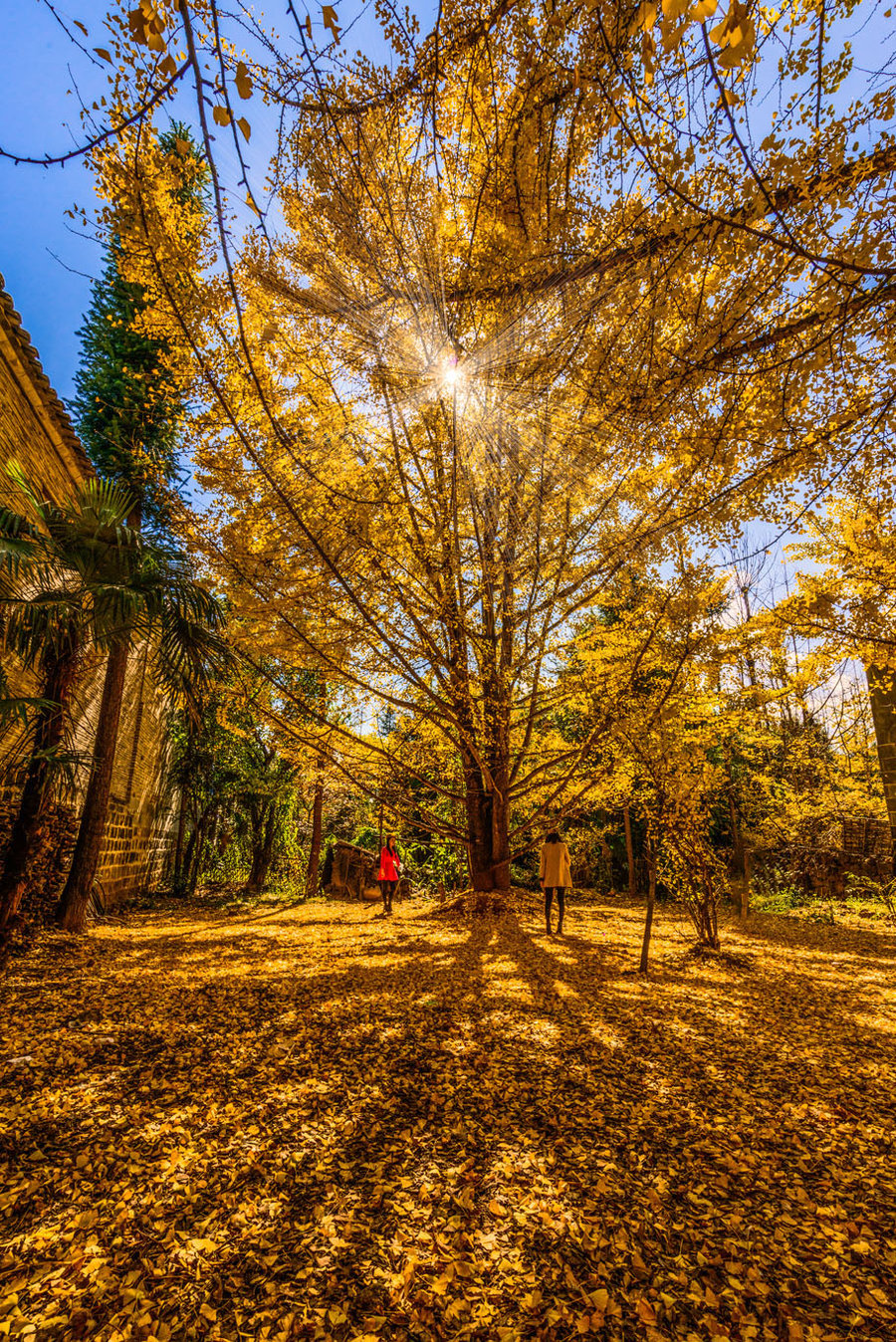 長(zhǎng)沙直飛騰沖、瑞麗、芒市雙飛六日游