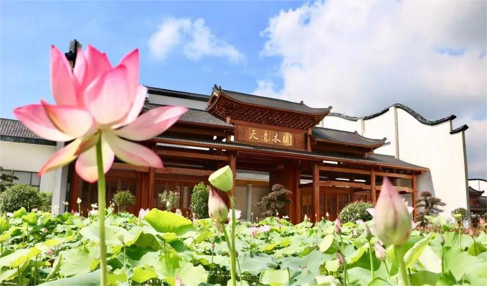 清溪村、天意木國(guó)景區(qū)、明清古巷、市博物館、胡林翼故居二日游